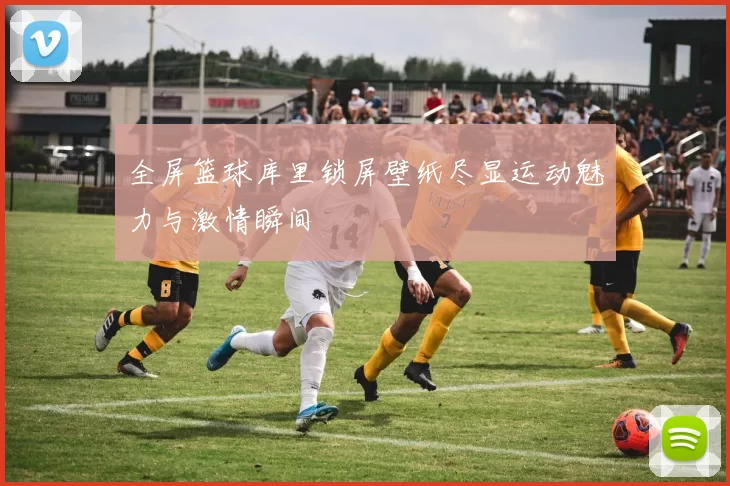 全屏篮球库里锁屏壁纸尽显运动魅力与激情瞬间