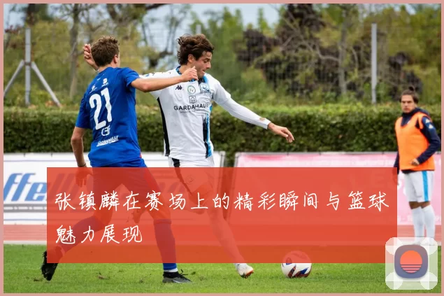 张镇麟在赛场上的精彩瞬间与篮球魅力展现