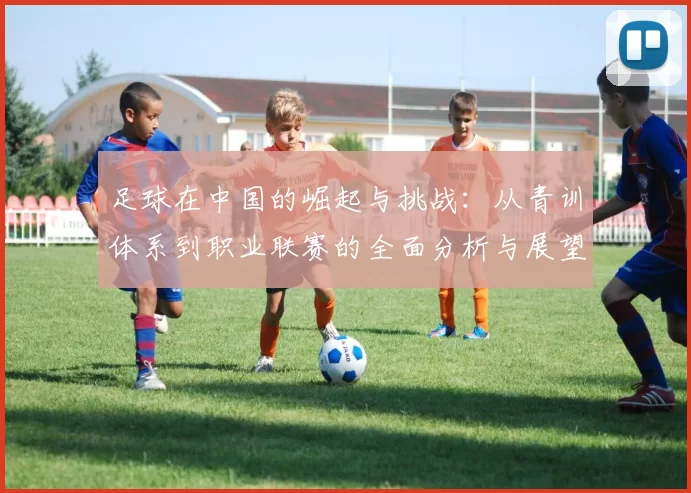 足球在中国的崛起与挑战：从青训体系到职业联赛的全面分析与展望