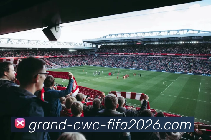 2026世界杯平台生态图